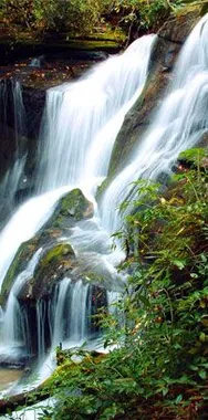 A cascading waterfall flowing over rocks in a forested mountain setting, surrounded by green foliage and mossy stones.