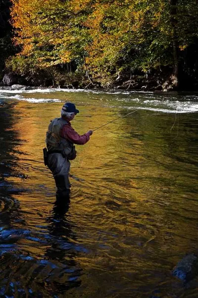 A man fly fishing in a flowing river during autumn, surrounded by colorful trees and reflected golden light on the water’s surface.