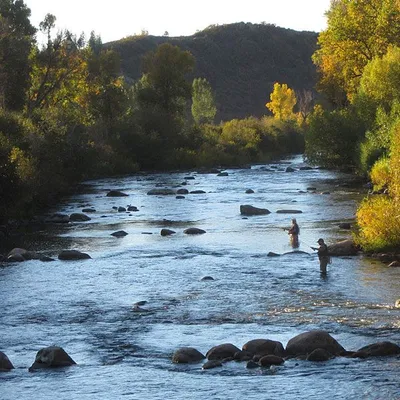 Two men fly fishing in a rocky river surrounded by autumn-colored trees and distant hills, casting lines into flowing water.